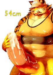 athletic balls biceps big_penis clothing cum cum_on_penis erection feline fur glans hat hatake headgear hyper hyper_penis male male_only mammal muscular penis shinya_(hatake) shirt tiger tongue