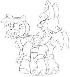 amy rose from sega by leatherruffian