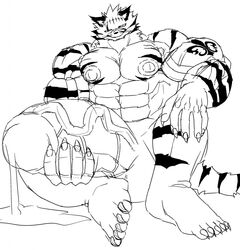 athletic balls biceps big_penis claws cum erect_nipples erection feline fur hatake hyper hyper_penis liquid looking_at_viewer male male_only mammal muscular nipples nude penis scar sketch solo stripes tattoo tiger tornaco_vasco_(torahiko19)