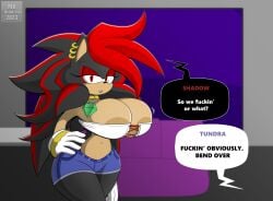 huge_breasts midriff mklancer00 poorly_tagged rule_63 shadow_the_hedgehog sonic_(series) source_request thick_thighs wide_hips