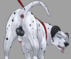 absurd_res animal_genitalia anus ass balls blue_eyes canine collar cum cum_leaking cum_on_anus dalmatian feral fur hi_res leaking leash looking_at_viewer looking_back male_only mammal panting penis precum presenting presenting_anus sheath simple_background snout solo spots timtam tongue virtyalfobo