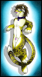 1boy animal_genitalia anthro balls collar feline gard3r leopard looking_at_viewer male male_only mammal navel nude penis sheath simple_background smile solo