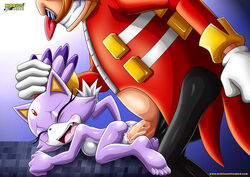 1boy 5_toes anal_sex bbmbbf big_ass big_balls big_butt big_penis blaze_the_cat cat cum_in_pussy cum_inside dr._eggman feet female forced human human_on_anthro male male_villain mobius_unleashed palcomix sega sex soles sonic_(series) tagme