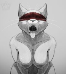 Booru post from rule34.xxx