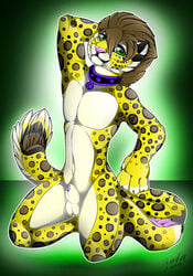 1boy animal_genitalia anthro balls collar feline fully_sheathed gard3r kneeling leopard looking_at_viewer male male_only mammal navel sheath simple_background smile solo