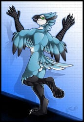 1boy anthro avian backsack balls beak bird blue_jay corvid feathered_wings feathers gard3r looking_at_viewer looking_back male male_only nude open_mouth simple_background smile solo standing tongue wings