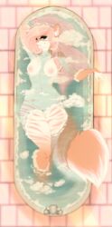 anthro bathtub breasts feline female hi_res kriticalerror looking_at_viewer mammal nipples nude partially_submerged pussy slightly_chubby solo thick_thighs wide_hips