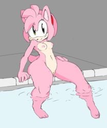 amy rose from sonic (series) by argento