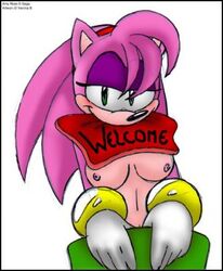 amy_rose anthro color english_text female female_only fur furry furry_only gloves green_eyes hedgehog long_hair pink_fur sega simple_background solo sonic_(series) sonic_cd sonic_team sonic_the_hedgehog_(series) straight_hair text topless uncensored white_background