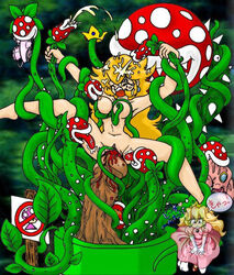 blood breasts dendrophilia double_penetration empty_(artist) female mario_(series) nintendo nipples piranha_plant plant plant_tentacle plant_vore princess_peach super_mario_bros. tentacle_in_pussy tentacle_penetration translation_request unwilling_prey vaginal_blood vines vore warp_pipe