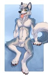 animal_genitalia anthro arm_tuft balls canid canine cheek_tuft chest_tuft clothed clothing facial_tuft front_view fully_clothed fur genitals glistening glistening_eyes grey_body grey_fur hair hi_res knee_tuft leg_tuft looking_at_viewer male male_anthro mammal neck_tuft nude open_mouth open_smile sheath short_hair shoulder_tuft sitting smile solo spread_legs spreading tongue tongue_out tuft white_balls white_body white_fur white_hair white_sheath yellow_eyes yookie