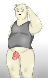 anthro balls bear brown_eyes clothing confusion cosmic51moon cum flaccid fur humanoid_penis male male_only mammal musclegut nude penis precum slightly_chubby standing underwear