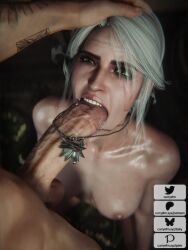 ciri from cd projekt red by currysfm