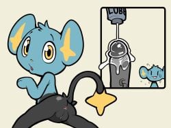 generation 4 pokemon from nintendo by itsunknownanon