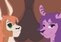 cheshire fox from the lusty stallion by tsunamidusher