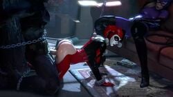 1boy 2girls 3d all_fours animated ass batesz batman batman:_arkham_knight batman_(series) big_ass big_penis blue_eyes bodysuit bouncing_ass breasts bruce_wayne catwoman catwoman_(arkham) catwoman_(arkham_knight) chained chained_to_post chains clothed_sex couch dat_ass dc dc_comics doggy_style domination domino_mask female femdom forced from_behind harley_quinn harley_quinn_(arkham) harley_quinn_(arkham_knight) harley_quinn_(classic) high_heels highres huge_cock indoors jester_outfit large_breasts latex latex_armwear latex_legwear light-skinned_female light-skinned_male light_skin lipstick male malesub mask masturbating_while_watching masturbation no_sound penis pleasure_face rape red_lipstick restrained reverse_rape rubbing_pussy selina_kyle source_filmmaker straight thigh_boots thighhigh_boots twerking twerking_on_dick unseen_male_face vaginal_penetration video