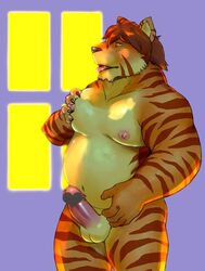 1boy anthro balls erection feline iceman1984 male male_only mammal nipples penis solo tiger tongue