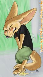 1boy anthro blush canine clothed clothing desperate desperation disney fennec finnick fox fur leaking male male_only mammal omorashi peeing peeing_self puddle shaking solo standing tears urine watersports wet wetting wolftacos zootopia