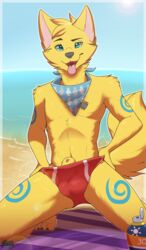 1boy animal_genitalia animal_penis beach blue_eyes bulge canine canine_penis clothing fur furry kneeling male male_only mammal penis seaside sheath solo speedo swimsuit text tongue tongue_out undressing water yellow_fur yuniwolfsky