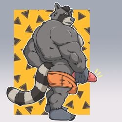 abstract_background anthro big_muscles chrm clothed clothing exhibitionism foreskin fur genitals grey_body grey_fur hi_res holding_penis looking_back male mammal muscular muscular_male partially_clothed penis procyonid raccoon rear_view small_but_hung smile smirk solo stocky tail thick_tail underwear underwear_down underwear_only