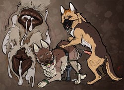 after_sex animal_genitalia animal_penis animal_pussy anus ass_up backsack ball_gag balls bondage bound breeding_stand brown_background brown_eyes brown_fur canine canine_penis canine_pussy close-up collar cum cum_in_ass cum_in_pussy cum_inside cum_string digitigrade drooling duo erection female feral feral_on_feral from_behind_position fuck_bench fur gag gagged german_shepherd jambalayathepit_(artist) male mammal mounting multicolored_fur muzzle_(object) penis pull_out pussy saliva sex simple_background spread_legs spreading straight two_tone_fur