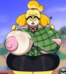 1boy 1girls animal_crossing anthro canid canine canis embarrassed_female female huge_breasts isabelle_(animal_crossing) kirby_(series) lewd_bun_64 male massive_breasts meta_knight nintendo ripped_clothing shocked_expression strugglebunny super_smash_bros. thick_thighs torn_clothes torn_clothing wide_hips yellow_body yellow_fur