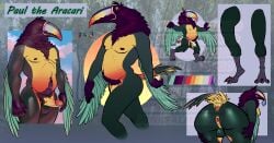 anthro anus araçari avian balls beak bird body_hair bottomwear clothing condom erection feathers genitals green_body happy_trail hi_res himbo loincloth male model_sheet multicolored_beak muscular pinkpalmingo presenting presenting_anus rainbow_beak sexual_barrier_device solo tail tail_feathers toucan