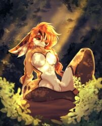 absurd_res anthro big_ears black_body black_ears black_fur black_nose braided_hair breasts brown_body brown_eyes brown_fur brown_hair canid canine cheek_tuft digital_media_(artwork) ears_back ears_down facial_tuft female fennec_fox fluffy_ears fox fur genitals hair head_tuft hi_res long_hair looking_pleasured mammal multicolored_body multicolored_fur nilah_(saronona16) nude outside pivoted_ears presenting presenting_pussy pussy shyryp sitting smile solo spots spread_legs spreading true_fox tuft white_body white_fur