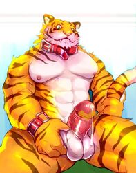 1boy anthro balls erection feline iceman1984 male male_only mammal nipples penis solo tiger