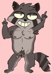 2d animal anthro anthro_only armpits cartoony furry grey_body male_only penis pubes raccoon rocky_rakoon rocky_rakoon_(character) small_animal smile youtube