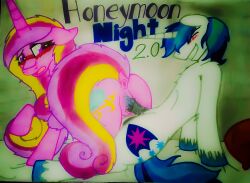 anus balls honeymoon male/female my_little_pony penetration penis princess_cadance roxasnuggets13 shining_(series) vagina