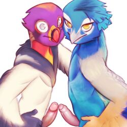 1:1 accipitriform anthro avian beak bird blue_body blue_fur cheek_to_cheek cheek_tuft circumcised duo face_squish face_to_face face_touching facial_tuft feathers fluffy foreskin fur galliform genitals glistening glistening_body grey_eyes hand_on_hip hi_res humanoid king_vulture kissing lebibien looking_at_viewer male male/male multicolored_body multicolored_fur neck_tuft new_world_vulture peafowl penis penis_kissing phasianid simple_background smile squish tuft vulture white_background white_body white_eyes white_fur yellow_eyes