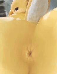 absurd_res anthro anus ass avian beak bird canary feathers female hi_res looking_at_viewer nude presenting simple_background solo tail_feathers thousandfoldfeathers