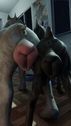 3d_(artwork) 9:16 animal_genitalia animal_pussy anus ass big_dog_doberman_(artist) big_pussy canid canine canine_genitalia canine_pussy canis digital_media_(artwork) dobermann domestic_dog female feral genitals mammal pinscher pit_bull poster pussy rear_view