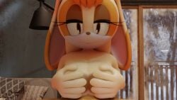 1boy 1girls 3d animated anthro_on_human female huge_breasts large_breasts male mp4 no_sound paizuri sonic_(series) sonic_the_hedgehog_(series) tagme titjob vanilla_the_rabbit video virtualust