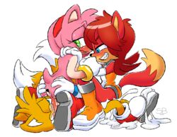 amy rose from sonic (series) by skinbark