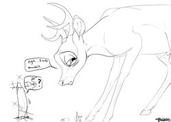 animal_genitalia antlers backlash91 balls bambi_(character) bambi_(film) black_and_white blush cervine deer dialogue disembodied_penis disney duo english_text erection feral gay glans hooves horn humanoid_penis line_art looking_away male male_only mammal monochrome motion_lines open_mouth penis penis_tip pictographics quadruped retracted_foreskin sheath signature solo_focus speech_bubble tapering_penis testicles text uncut vein veiny_penis yaoi