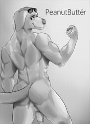 1boy anthro ass backsack balls bojack_horseman canine dangpa erection eyewear flexing golden_retriever looking_at_viewer looking_back male male_only mammal monochrome mr._peanutbutter muscular nude penis perfume pose rear_view smile smirk solo sunglasses