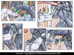 2011 after_orgasm animal_genitalia animal_penis ball_sucking balls closed_eyes cum cumshot drooling duo equine equine_penis erection feral feral_on_feral flared_penis half-erect horse horsecock male mammal oral orgasm penis saliva sex sucking tagme whitecolt_productions yaoi