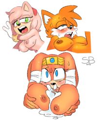 amy rose from sonic (series) by skinbark