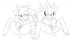 2016 anthro anus areola big_breasts breasts duo erect_nipples female gold_the_tenrec hedgehog huge_breasts mammal nipples nude pussy ravnic rule_63 sega silver_the_hedgehog sonic_(series) sonic_the_hedgehog_(series) tenrec