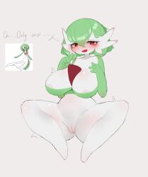 gardevoir from nintendo by enexofme
