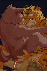 anal anal_sex balls canine cum cum_in_ass cum_inside duo eye_contact feline fur gay kotori male male/male male_only mammal mastery_position multicolored_fur on_top open_mouth orange_fur penetration penis pink_nose sex simple_background teeth tiger yaoi