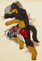 1boy 2014 anthro beauceron bed boxer_briefs bulge canine closed_eyes clothing cum cum_in_pants cum_in_underwear cum_on_leg cum_on_self cum_through_clothes cum_through_underwear doggieo doggieo_(character) dream excessive_cum male male_only mammal messy pillow sleeping solo underwear wet_dream