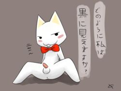 anus balls blush doko_demo_issho doublepopsicle feline male_only mammal penis presenting simple_background solo text toro_inoue