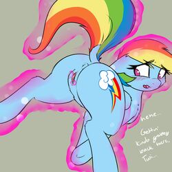 anus ass blush captainpudgemuffin cutie_mark equine female female_only feral friendship_is_magic hair horse looking_back mammal multicolored_hair my_little_pony open_mouth pegasus pussy rainbow_dash_(mlp) tongue wings yuri