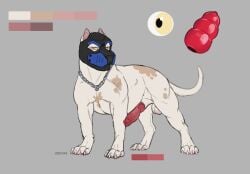 absurd_res animal_genitalia animal_mask animal_penis balls canid canine canine_genitalia canine_penis canis chain_collar claws collar domestic_dog erection feral genitals hi_res knot lddraws looking_aside male mammal mask model_sheet penis pit_bull pup_mask solo tail