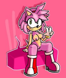 amy_rose breasts female furry onixsea pussy sega sitting sonic_(series)