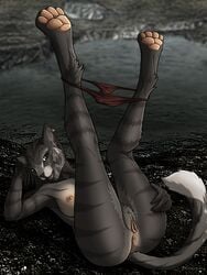 2016 anthro anus clothing feline female khajiit looking_at_viewer mammal nara netherwulf panties piercing presenting presenting_pussy pussy solo the_elder_scrolls underwear video_games