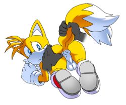 tails the fox from sega by coolblue